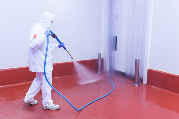 Best Residential House Exterior Washing  in Rushvle, IL