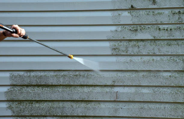 Best Dumpster Area Cleaning  in Rushvle, IL